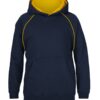 Navy/Gold