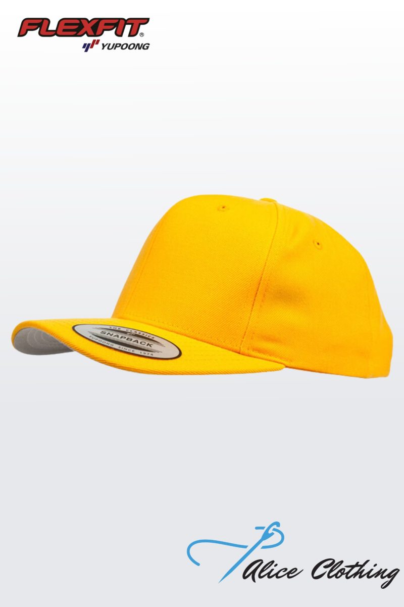 6689C Classic Snapback