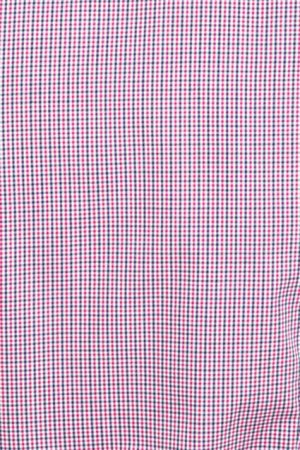 Close-up of red and blue gingham fabric with a tiny checkered pattern.
