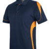 Navy/Gold