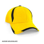 AH208 Aussie Gold Black  30210.1599047756