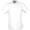White/White