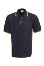 P51 NAVY BLUE GOLD