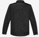 BLQ 2 BAck