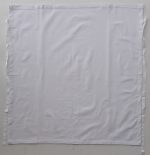 wa0395 wht