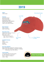 3919 Info