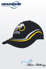 4075 Brushed Heavy Cotton with Curved Embroidery on Crown and Peak