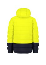 ZJ240 Product Yellow Navy Back