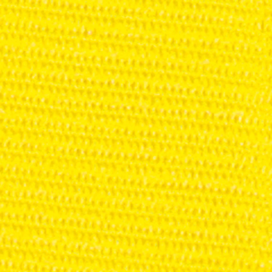 6PPL Yellow Detail