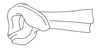 CH248L 1
