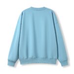 f376co earthblue back