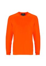 ZH390 Mens Hi Vis Long Sleeve TeeONF