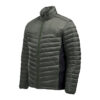 Spruce/Mallard