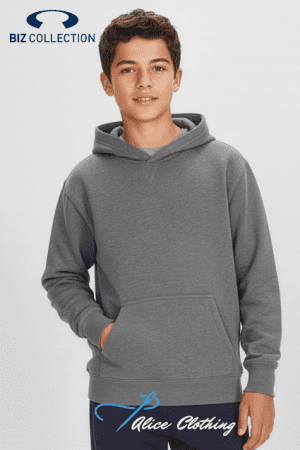Young boy wearing a gray hoodie with front pocket, posing for a clothing catalog; Biz Collection logo in the top-left corner and Alice Clothing watermark at bottom.