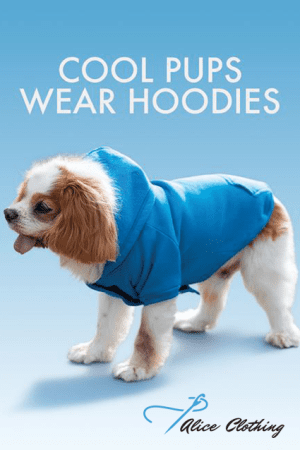 F377DG RAMO Dog Hoodies